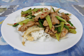Rice with stir-fried pork and green bell pepper on top