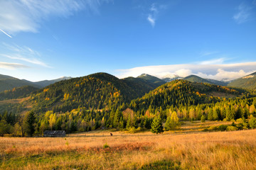 Naklejka na ściany i meble Amazing mountain landscape with colorful trees and herbs. Autumn sunny morning. Carpathian, Ukraine, Europe