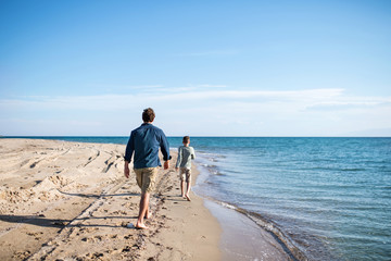 Rear view of father with small son outdoors on beach, running in water.