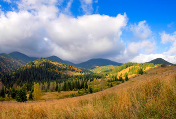 Amazing mountain landscape with colorful trees and herbs. Autumn sunny morning. Carpathian, Ukraine, Europe