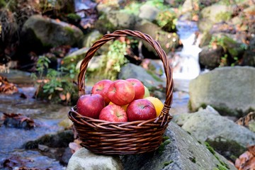 red apples in a basket