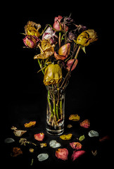 Bouquet of Wilted Roses on Black Background.