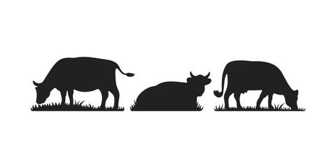 Cows in different poses vector set. Silhouettes of grass. Cow grazing on meadow.
