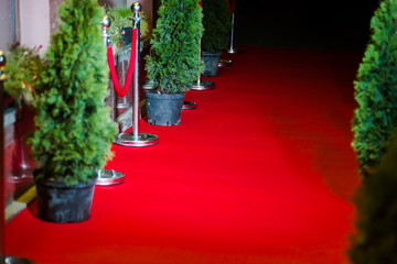 Red carpet entrance