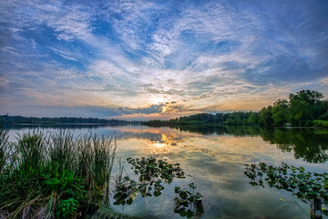 Sunset over Mirror Like Lake with Water Plants