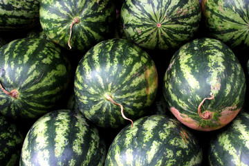Watermelons are arranged orderly on the market stall