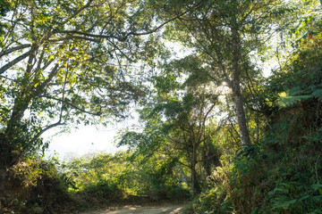Fototapeta premium Sierra Nevada de Santa Marta