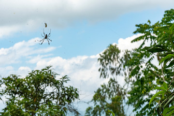 Sierra Nevada de Santa Marta