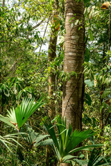 Sierra Nevada de Santa Marta