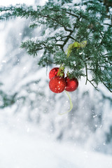 Christmas tree covered by snow with red ball ornament