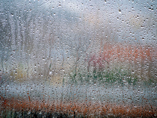 Rain drops on window