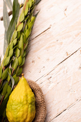 Lulav on jute fabric and wood background with a copy space. Composition of Sukkot symbols: palm, willow, myrtle, etrog.