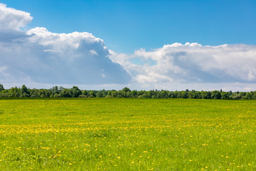 Fototapeta premium Beautiful summer landscape on a sunny day