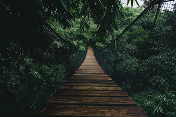 Foto auf Alu-Dibond Hölzerne Hängebrücke in einem Wald © Taufik C Nugroho