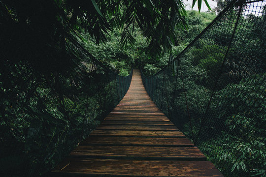 Wooden suspended bridge in a forest
