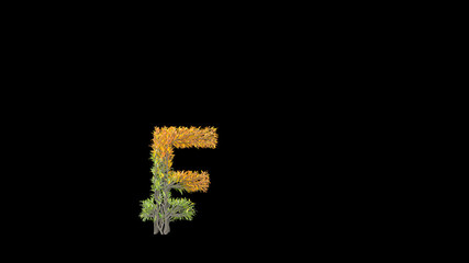 Growing Tree in a shape of a franc sign. 3D rendering.