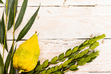 Lulav on light wood background with a copy space. Top view on Sukkot festival symbols: palm,...