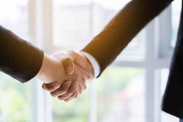 Two business people shaking hands for successful business concept