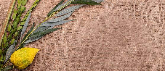 Top view on Sukkot festival symbols: palm, willow, myrtle, etrog. Lulav on jute fabric. Banner with a copy space.