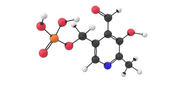 3D animation of a vitamin B6 pyridoxal molecule with alpha layer