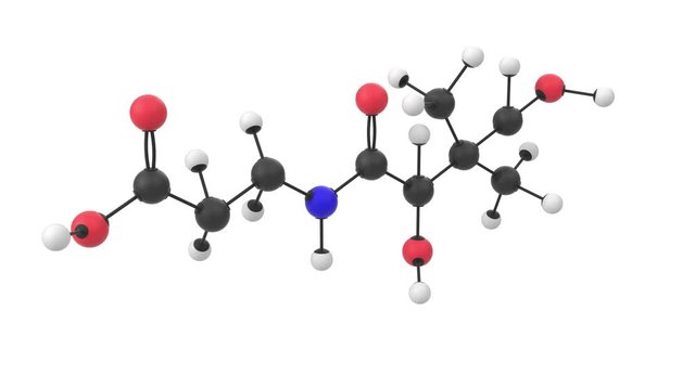 3D animation of a vitamine B5 molecule with alpha layer