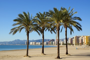 Fototapeta premium Page de Cullera