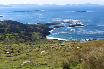 view of the coast from the mountains. green slopes of the mountains in the foreground