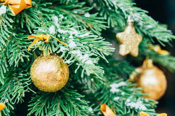 Christmas background. Green fir tree with golden balls. - 300414479