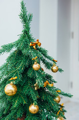 Christmas background. Green fir tree with golden balls. - 300414651