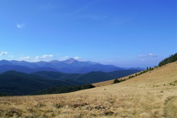  grassy slope with wonderful views