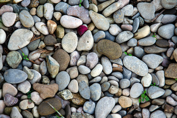 wall texture photo, pebble background ,pebble floor in the garden,
