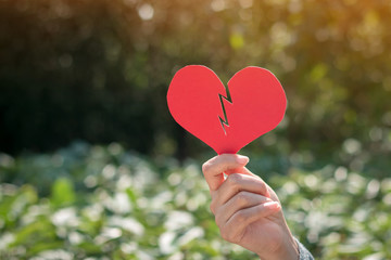 Woman hand holding a red paper heart is broken on bokeh background in the public park,...