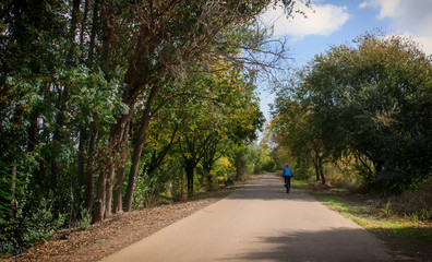 Fototapeta premium ciclista dando un paseo con su bici por el campo