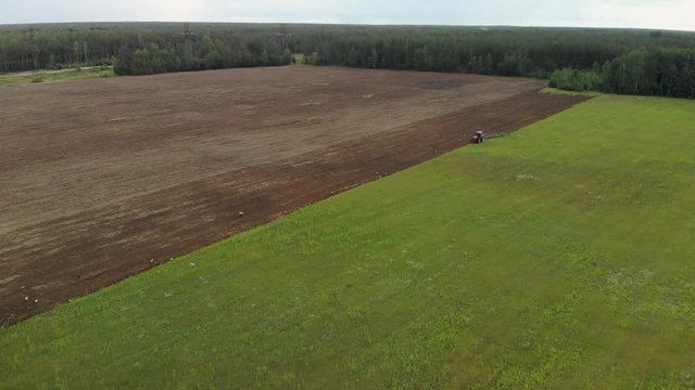 A red agricultural tractor with a long plow plows the soil, many birds fly around it. A beautiful picture of a brown-green field on top. Aerial photography from a drone