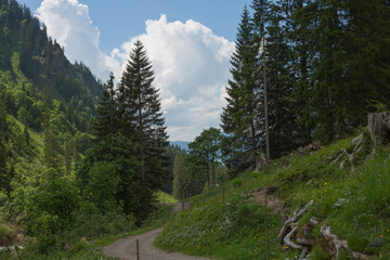Panorama der Berge bei Oberstdorf