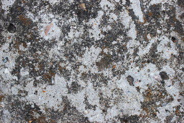 Texture brown background with black spots