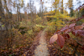 Soldatenfriedhof bei Beuron Donautal