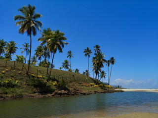 Beach in northeastern Brazil in the city of Ilhéus bahia