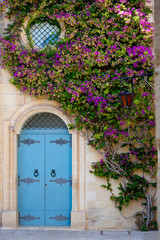 Fototapeta na wymiar Blue door framed with violet flowers