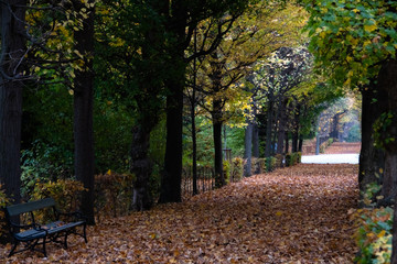 Naklejka premium Parkweg im Herbst