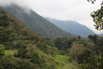 Bosque Urbano
