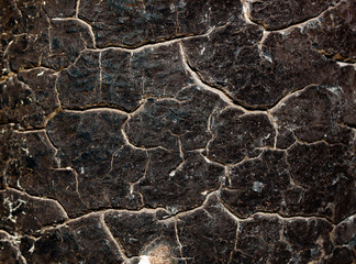 Texture Background Cracked Resin Fissure