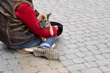 A homeless man sitting on the sidewalk warms the dog in his arms.  concept of poverty, love and...