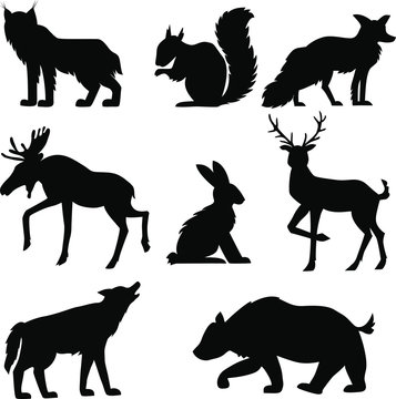 black forest  animals isolated on white background