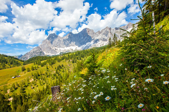 Der Dachstein im Ennstal