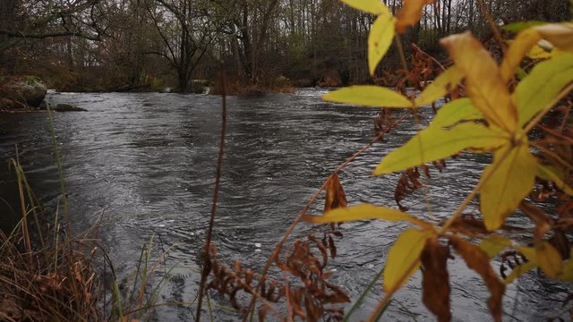 A cold autumn day on the Swedish Morrum River