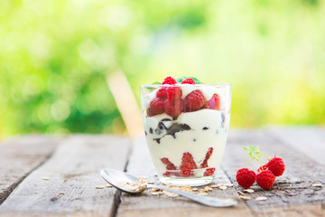 Natural yogurt with fresh raspberries, black currant and muesli.