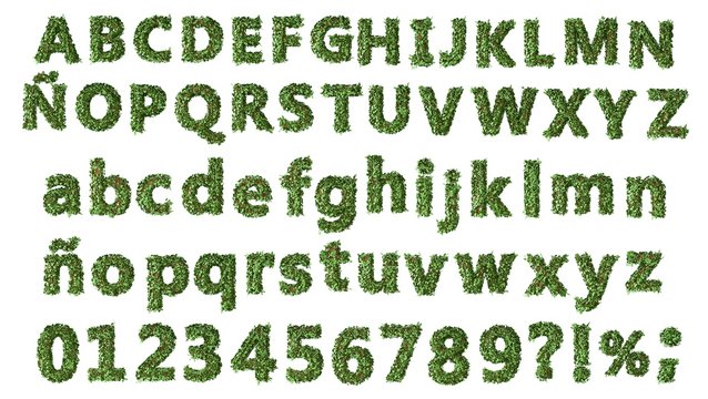 Complete alphabet style tree with leaves.