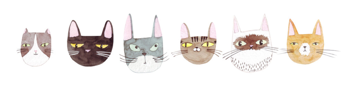 Naklejka Śliczni koty inkasowi na białym tle. Kolorowe koty graficzne, projekt plakatu. Akwarela ilustracja. Malowane tło. Wzór tkaniny. Kot, kotek, głowa.