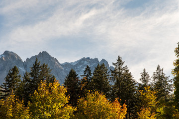Berglandschaft mit Bäumen